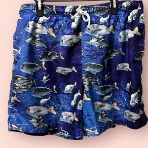 Trader Bay- Swim Trunks- Trader Bay- Large swimming- pool-fish-beach-water